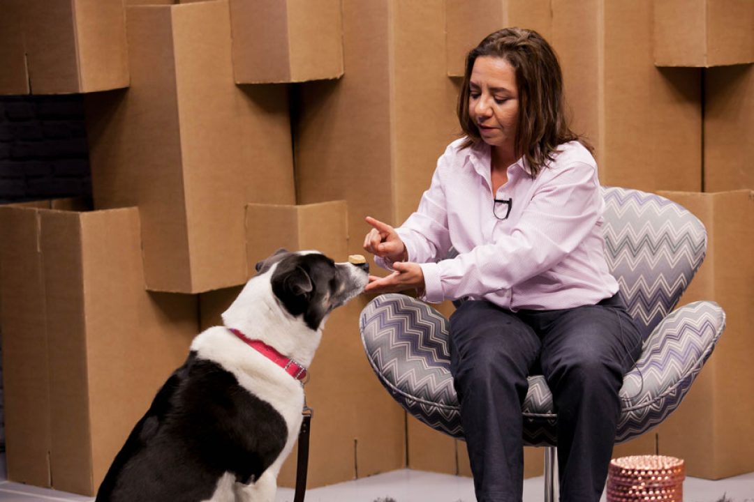 Efeito Borboleta e o Poder de Transformação